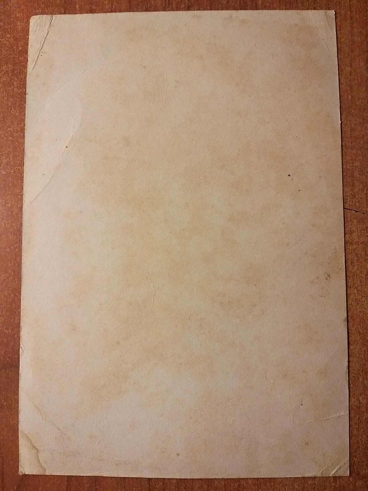Foto 2 di 2