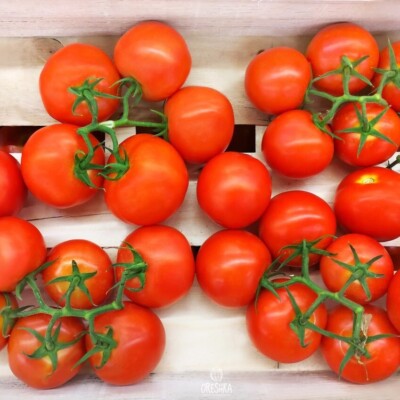 Tomate Cherry Cocktail 10 Stück frische Samen, rote Kirschtomate Bio Samen