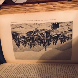 Travels in West Africa Mary Kingsley, MacMillan 1897, Illustrated 4th Thousand
