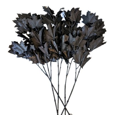 Simply Stunning S/5 Real Touch 30'' Maple Leaf Picks by Janine Graff