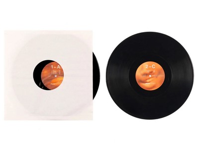 Frank Ocean blonde レコード オフィシャル版 BLONDE 2LP VINYL | BLONDED | FRANK OCEAN