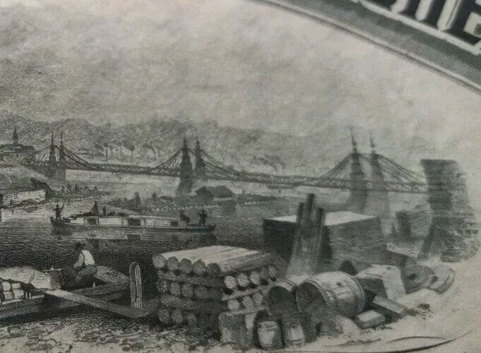 Picture 5 of 13