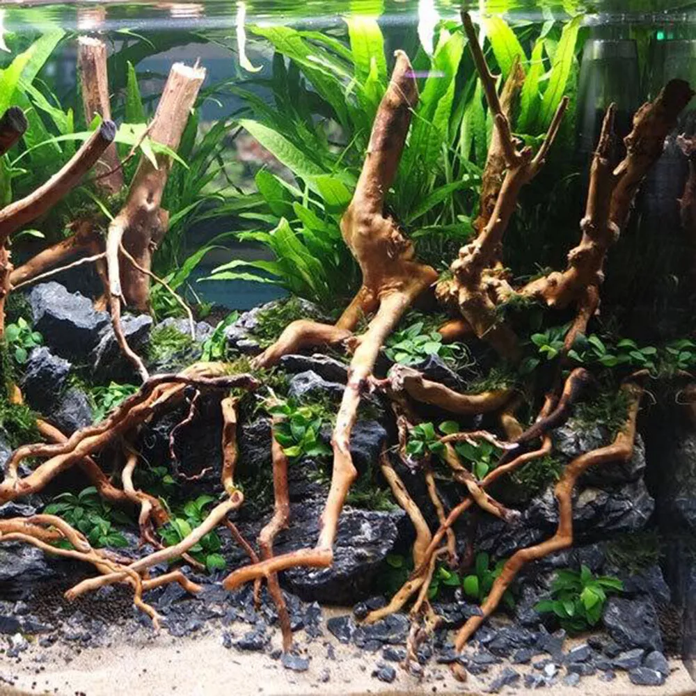 Picture 6 of 11