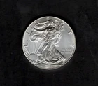 2013 American Silver Eagle Uncirculated .999 Fine Silver - GREAT INVESTMENT!