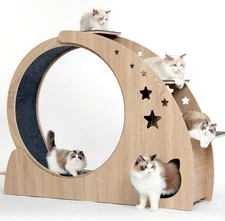 5-In-1 Cat Wheel,Cat Exercise Wheel,41.3" High Large Cat Wheels for Indoor Cats,