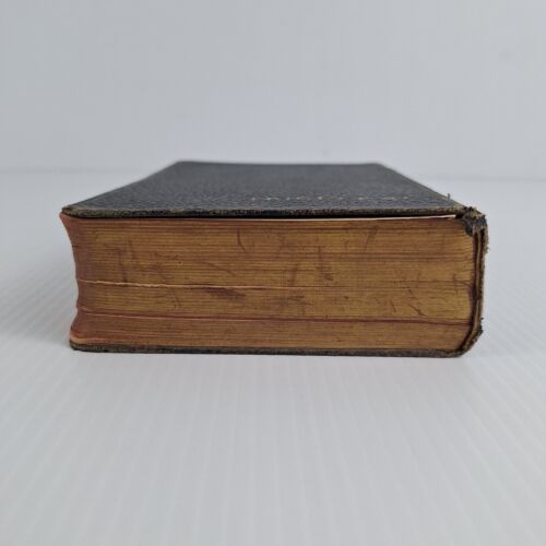 The HOLY BIBLE - Appointed to be Read In Churches - Antique H:C Book - Picture 6 of 14