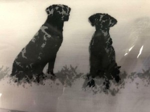 black labrador bedding