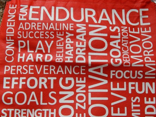 CHALK TALK SPORT ROSSO E BIANCO RIUTILIZZABILE ECOLOGICO CINCH CLOSE SACCHETTO REGALO NUOVO - Foto 2 di 5