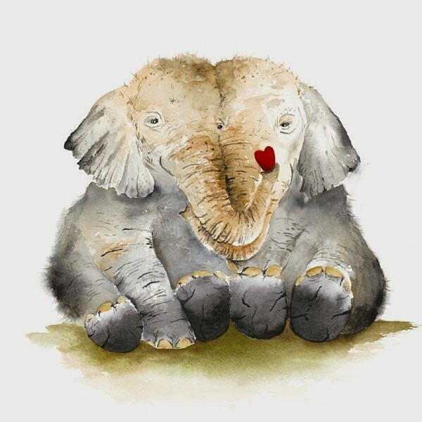 Elephant Hugs Plantable Seed Card Sarah Reilly, Love Country