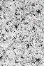 DCFIX BOTANICALS MONO PATTERN TRANSPARENT WINDOW FILM SELF AD VINYL 2M X 67.5CM