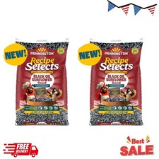 2P Pennington Recipe Selects Black Oil Sunflower Seed Dry Wild Bird Feed, 40lb