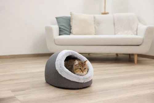 4018653387788 KERBL Jana Höhle Grau - Tierbett - 45x37x30 cm KERBL - Picture 2 of 3