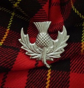glengarry cap badges