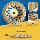 Foto 37 di 37