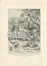 I PROVIDED DESTRESSED BIRDS & ANIMALS        WATER  1899 ART ILLUSTRATION PRINT