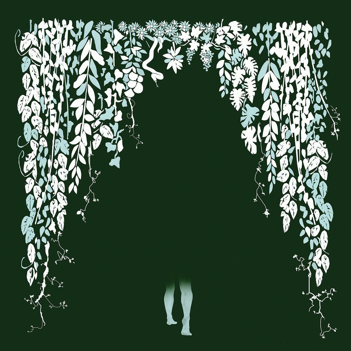 Альбом Hey Colossus Four Bibles (CD) (ИМПОРТИРОВАН из Великобритании)