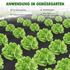 Bild 5 von 12