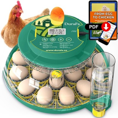 DX5  | Professional 18 Egg Incubator with Automatic Turning & Humidity Contro...