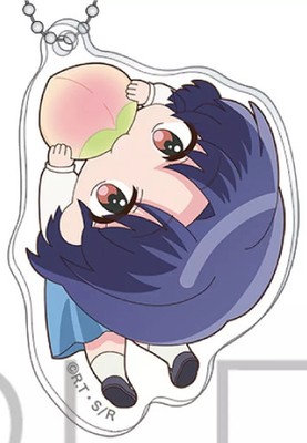 Ranma 1/2 Akane Tendo Acrylic Keychain Collection 55x75cm Character Keyring