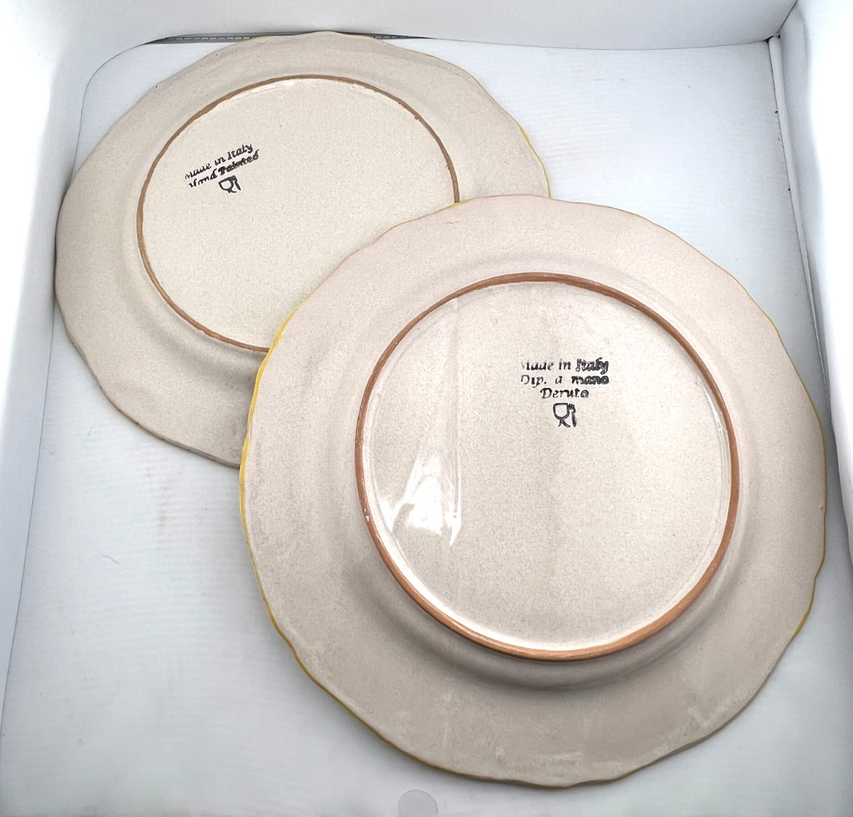 Rafaellesco 2pc Set 10" Salad Plates Wide Rim Deruta ITALY Hand Painted Dragons