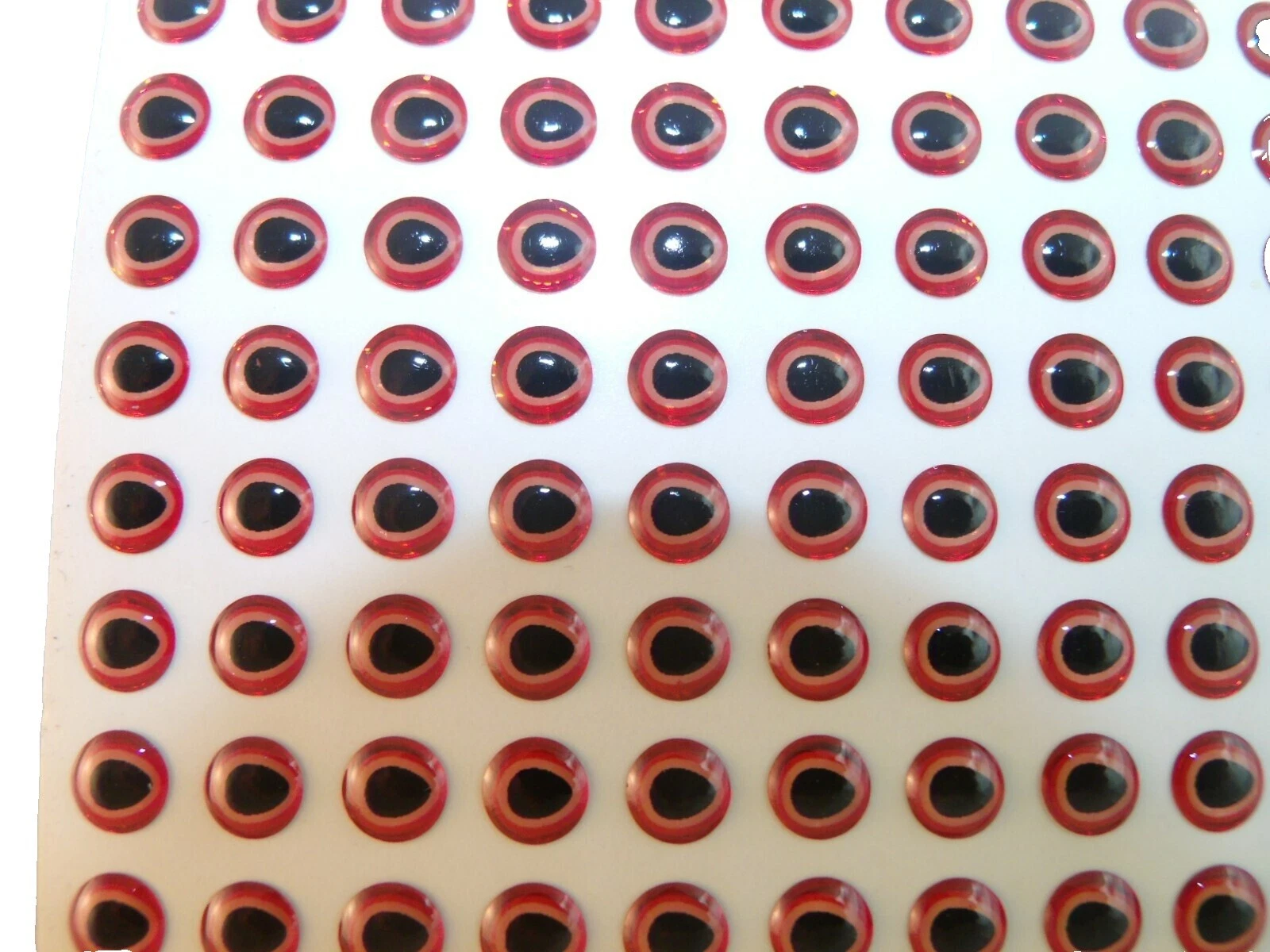 Bluegill Eyes Fly Fishing Tackle Craft