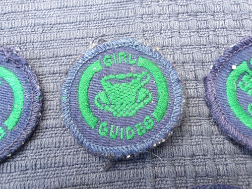Lot of 13 Vintage 1960s Girl Guide Cloth Badges - Picture 8 of 23