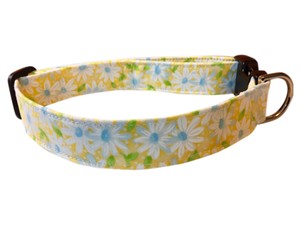yellow daisy dog collar