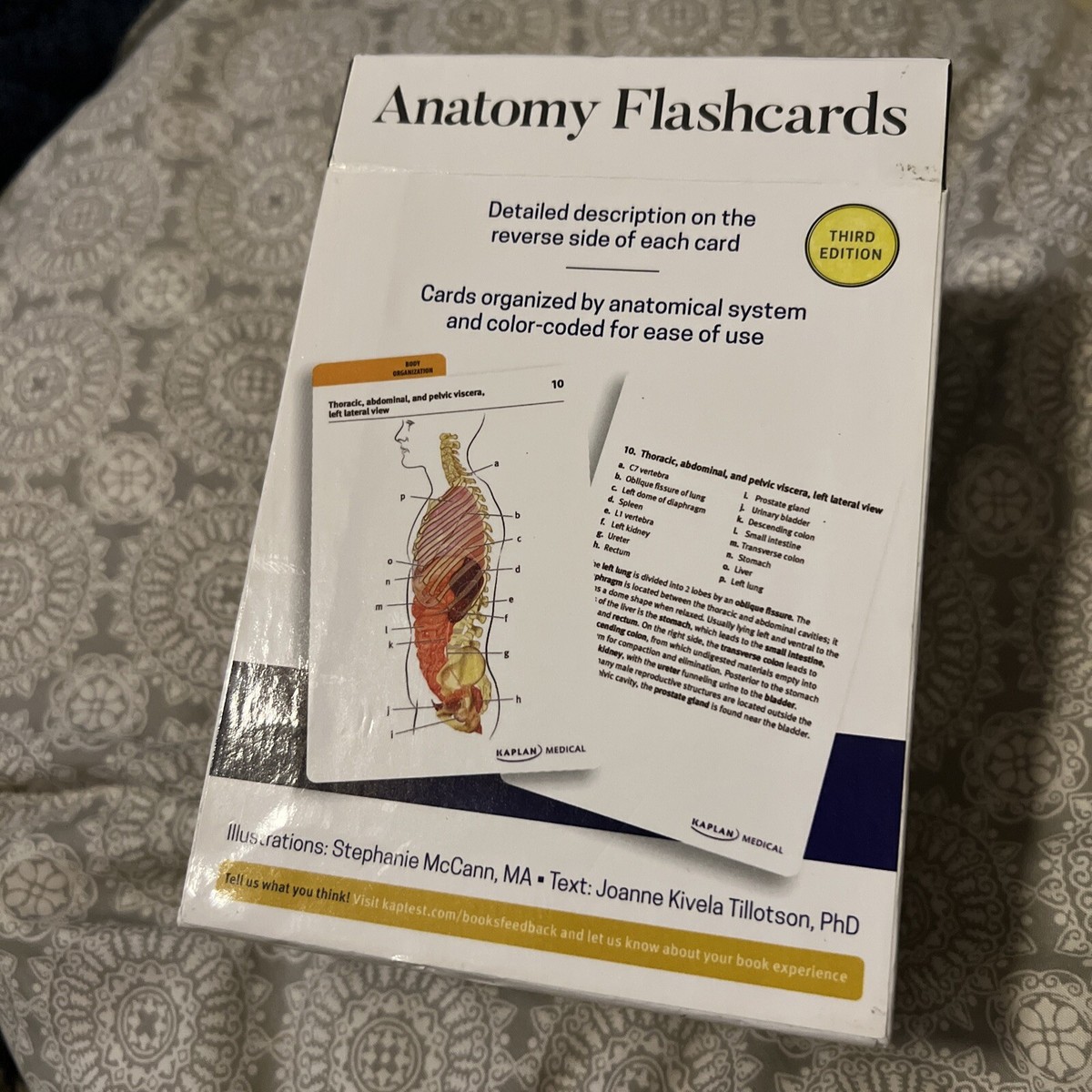Kaplan Medical Anatomy Flashcards 3rd Edition 310 Labeled