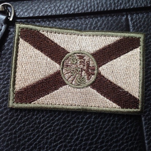 PARCHE DE GANCHO 3D BANDERA DEL ESTADO DE FL EE. UU. EJÉRCITO TÁCTICO MILITAR de Florida - Imagen 2 de 5