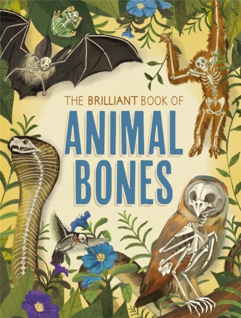 The Brilliant Book of Animal Bones by Anna Claybourne - - Image 4