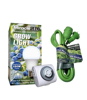 Blue Spectrum Single Socket Absolute Daylight Plus Light Fixture with Timer