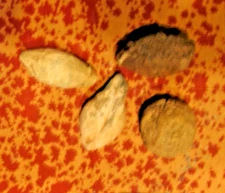 4 BALLES DE FRONDE EN PLOMB, EPOQUE ROMAINE