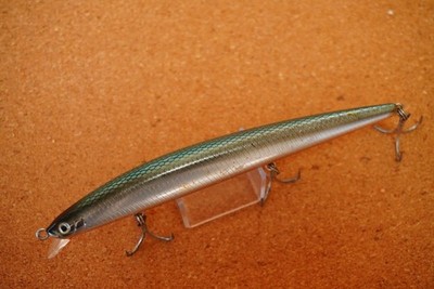 Daiwa  Shore Line Shiner  SL 12 F - G      (M281D3 125