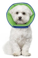 NEW Soft Dog Recovery Small Reflective Cone Collar After Surgery Adjustable