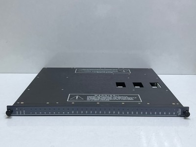 TRICONEX INVENSYS 3636T RELAY OUTPUT MODULE 3000314-315 REV:E0.0