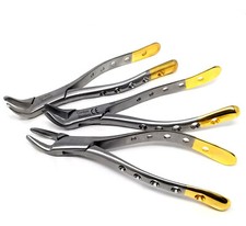 PREMIUM GERMAN DENTAL EXTRACTING EXTRACTION FORCEPS  150 151 23-HEAVY DUTY GOLD