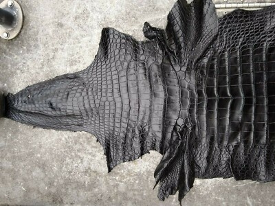 Leder-Alligator-Haarspange – 7,9 Cm, Schwarz, Für Hochzeiten & Partys