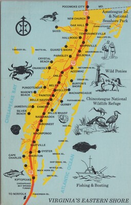 Postcard Virginia's Eastern Shore Map Birds Crabs UNP 5313.4