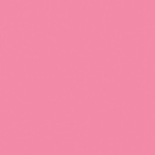 Confetti Cotton in Tickled Pink Confetti Cottons Riley Blake