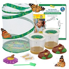 Insect Lore Butterfly Garden 10 Live Caterpillars