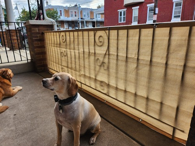 #ad #ad 3#x27; 4#x27; 5#x27; 6#x27; 8#x27; tall Outdoor Fence Windscreen Privacy Screen Shade Cover Garden $39.69