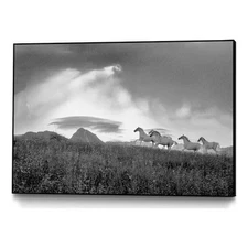 Giant Art Canvas  36x24 Before the storm Framed in White