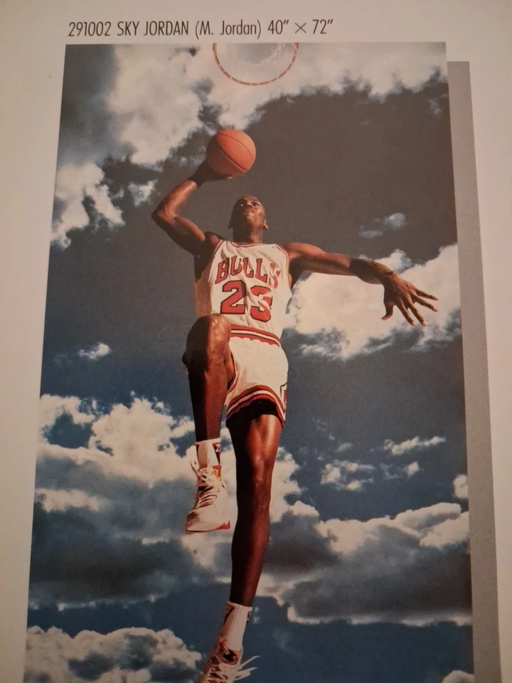 Tarjeta póster vintage Nike "Sky Jordan" Michael Jordan Foto 4 de 4