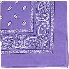 22 Inch Cotton Paisley Cowboy Bandana MultiPurpose Headband Men Women
