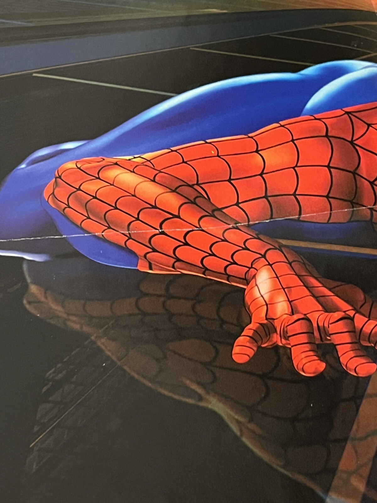 Picture 12 of 21