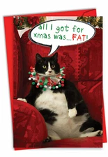 Funny Christmas Greeting Card with  Envelope  -  Merry Christmas Holiday Got Fat