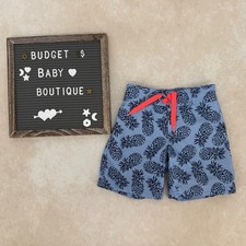 JANIE AND JACK Blue Pineapple Swim Trunks Size 2T