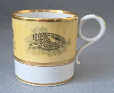 WORCESTER BAT PRINTED SEASHELLS COFFEE CAN C1804-13 LORD FLIGHT COLLECTION - Image 1 of 4