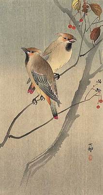 Two Birds in Tree 15x22 Japanese Print by Koson Japan Asian Art