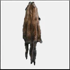 Glacier Wear Fisher Pelt Hide Fur- Male - fsr1000
